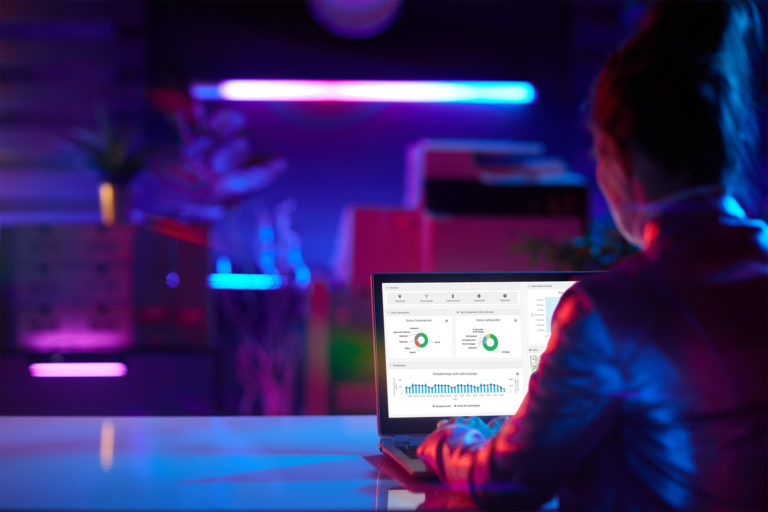 Mockup: Person sitzt vor Laptop und schaut in das Ladestations-Backend