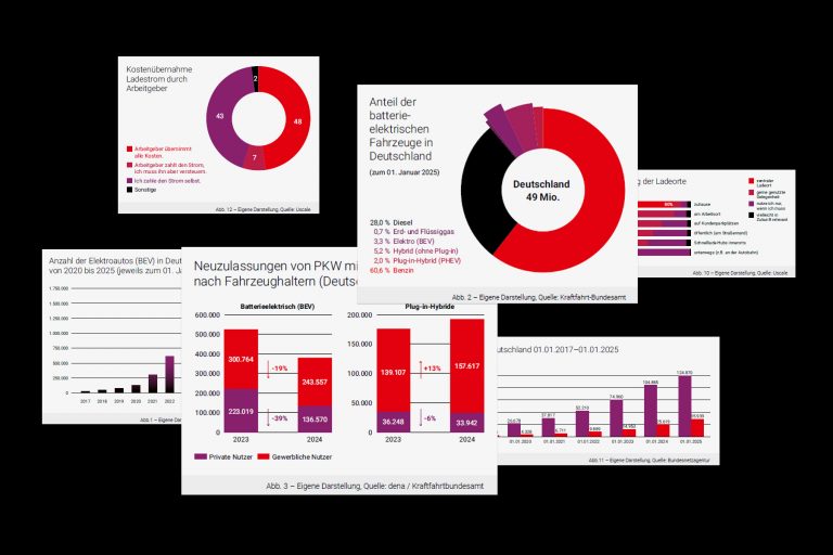 Ausgewählte Statistiken aus dem Whitepaper E-Mobilität im Unternehmen