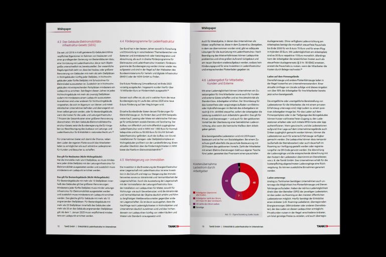 Einblick in das Whitepaper E-Mobilität im Unternehmen